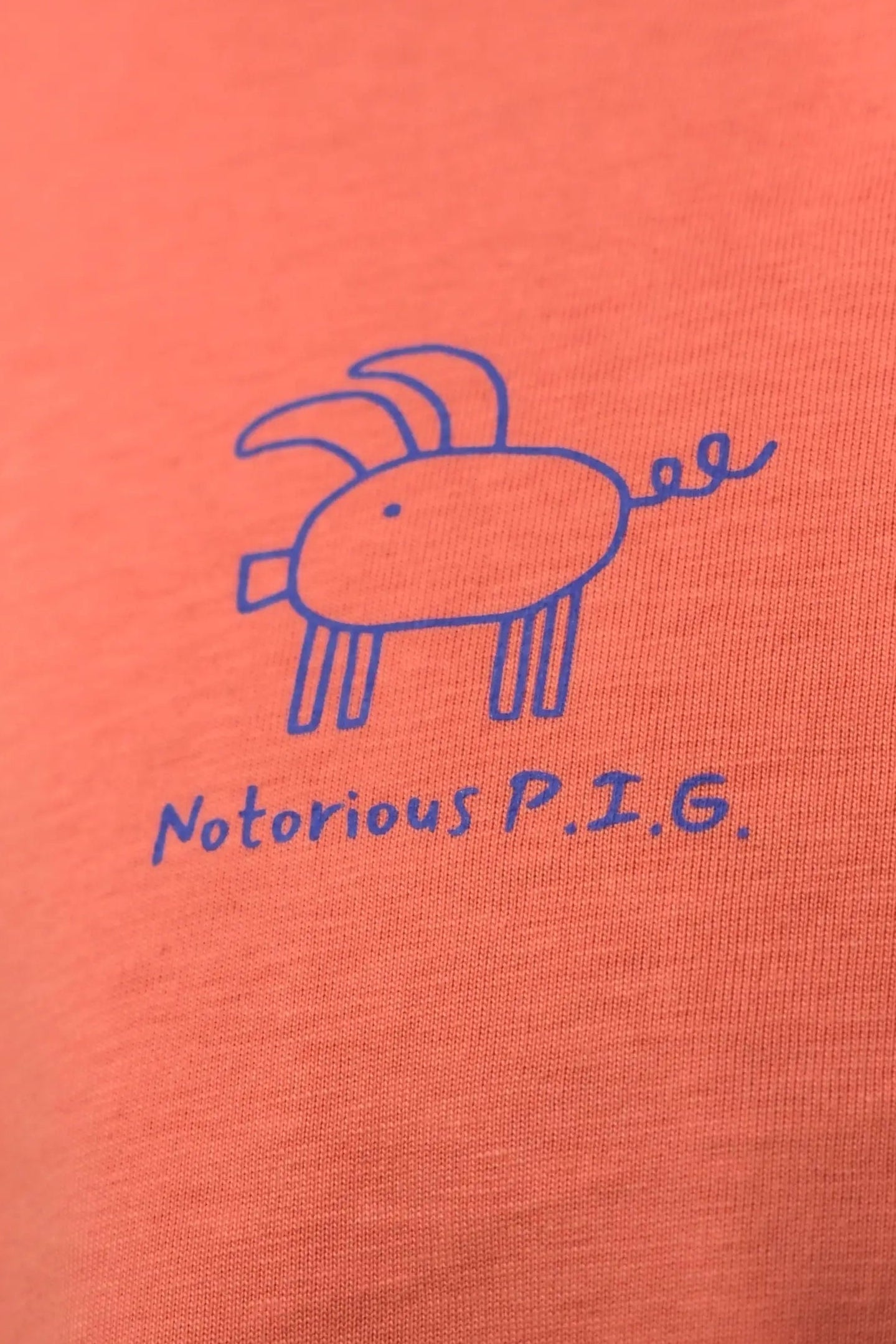Notorious P.I.G.