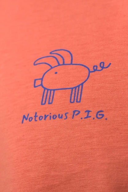 Notorious P.I.G.